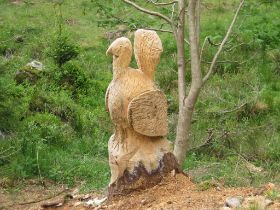 bussard.jpg